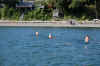 swim2.jpg (82577 bytes)